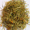 Polvere acida clorogenica CAS 327-97-9 di Honeysuckle Flower Extract Powder 15%