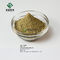 Polvere giallo-chiaro 25% CAS 77-52-1 della pianta dell'estratto acido naturale di Ursolic