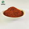 Polvere rossa Salvia Miltiorrhiza Extract 5% - 98% Salvianolic B acida